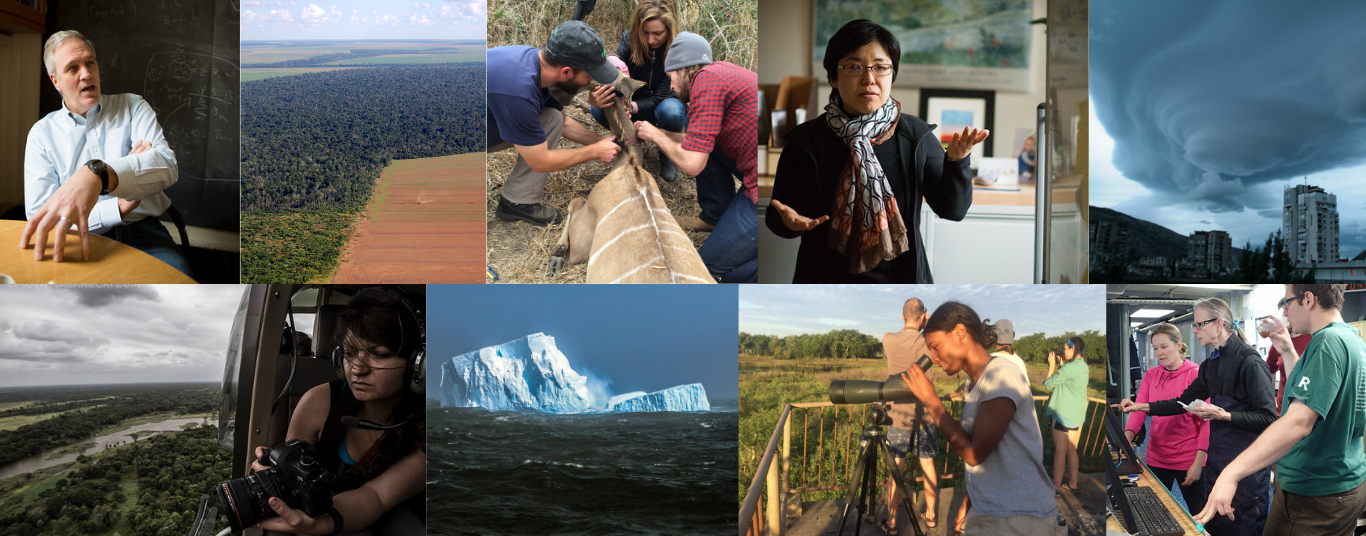 Collage of students, faculty and professors doing environmental work